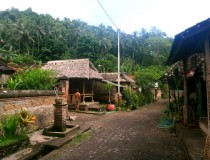 Tenganan village, Bali